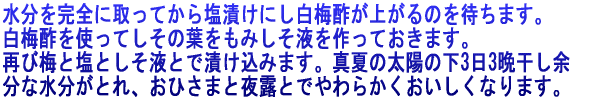 ���������S�Ɏ���Ă��牖�Ђ��ɂ����~�|���オ��̂�҂��܂��B ���~�|���g���Ă����̗t�����݂����t������Ă����܂��B �Ăє~�Ɖ��Ƃ����t�ƂŒЂ����݂܂��B �^�Ă̑��z�̉���3��3�ӊ����]���� ���������A���Ђ��܂̌��Ɩ�I�Ƃł� ��炩�����������Ȃ�܂��B 